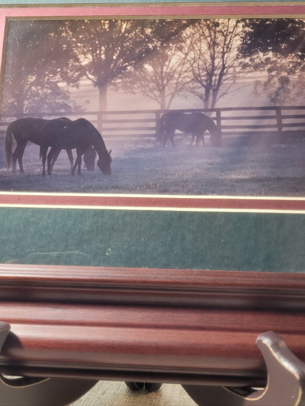 Framed print "Kentucky Morning Turnout" photographer John Stephen Hockensmith - Picture 8 of 16